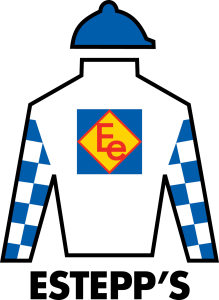 Sponsor Logo for Estepp