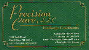 Sponsor Logo for Precision Care