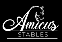 Sponsor Logo for Amicus Stables