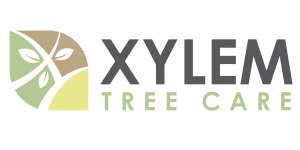 Sponsor Logo for Xylem Tree
