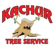 Sponsor Logo for Kachur Tree Service
