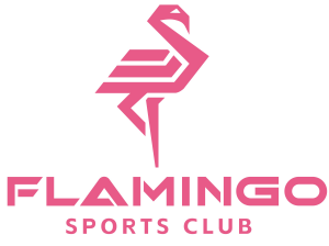 Sponsor Logo for Flamingo