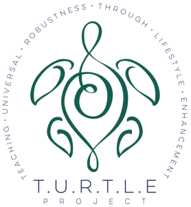 The Turtle Project - Kerr 2016