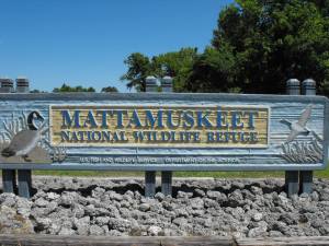 Race Across the Lake 5K 10K