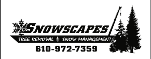 Sponsor Logo for Snowscapes
