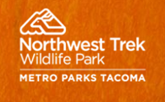 Northwest Trek Run Wild