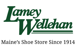 Sponsor Logo for Lamey Wellehan