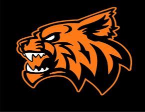 Wildcat Dash