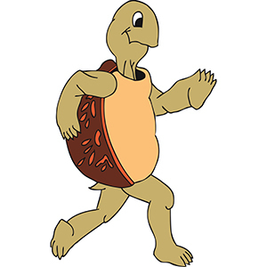 2016 Turtle Trot 5K - Arlington VA