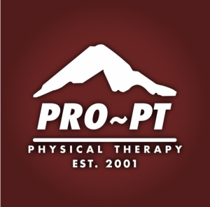 Sponsor Logo for PRO ~ PT