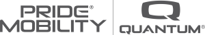 Logo for Price Mobility