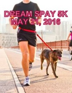 Dream Spay 5K
