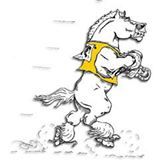 Miles for the Mounted Patrol 5th Annual 5K Cross Country Run/Walk