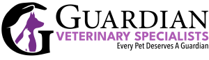Sponsorship Logo