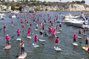 Standup for the Cure Muskegon