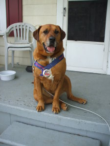 The 2016 Hank Kabel Sarcoma 5K Walk/Run