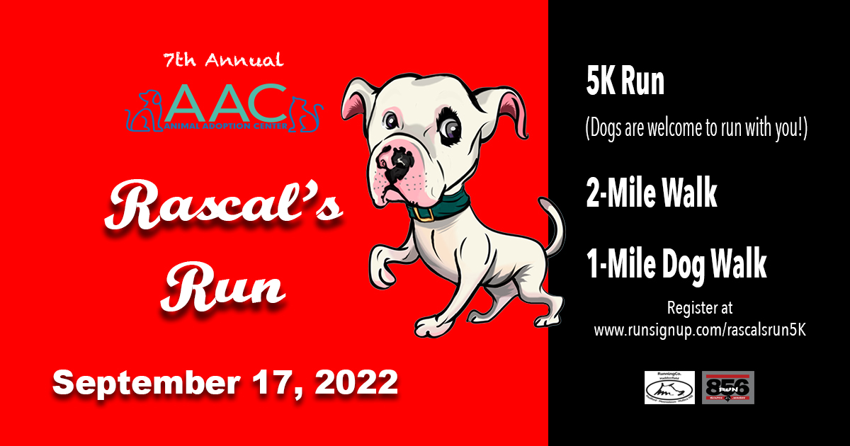 Shelter Dog Fundraiser - Rascal's Run 5k, 2-mile Fun Walk & 1-mile Dog ...