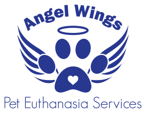 Sponsor Logo for Angel Wings