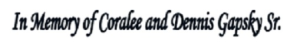 Sponsor Logo for Gapsky
