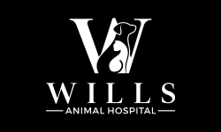 Logo for Wills Animal Hospital