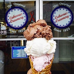Sponsor Logo for Cabarrus Creamery