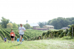 South River Vineyard Run 5K