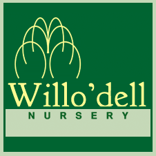Sponsor Logo for Willo'dell Nursery