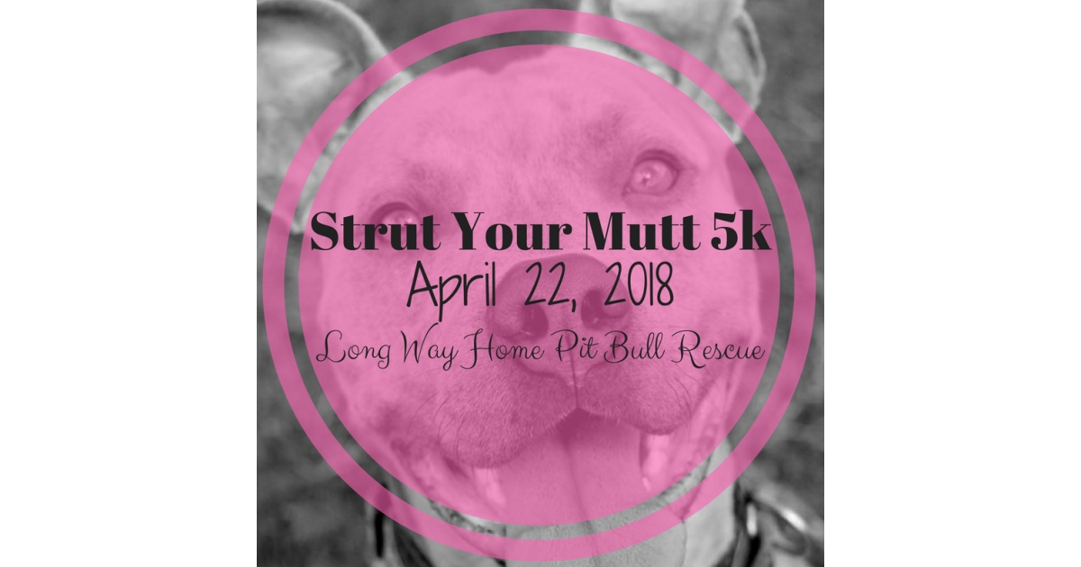2nd Annual Strut Your Mutt 5k