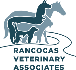Sponsor Logo for Rancocas Veterinary Associates
