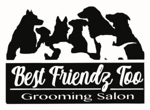 Sponsor Logo for Best Friendz Too