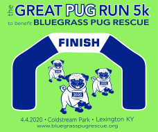 The Great Pug Run 5k Feeders Supply