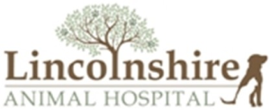 Sponsor Logo for Lincoln