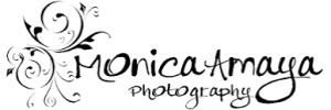 Sponsor Logo for Monica Amaya