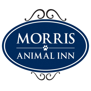 Sponsor Logo for Morris Animal Inn