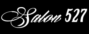 Sponsor Logo for Salon 527