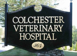 Sponsor Logo for Colchester Veterinary Hospital