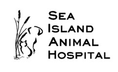 Sponsor Logo for Sea Island Animal Hospital