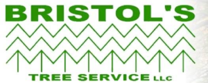 Sponsor Logo for Bristol's Tree and Lawn Service, LLC