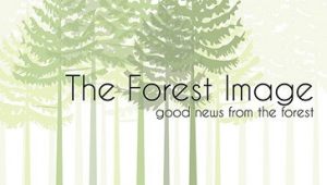 Sponsor Logo for The Forest Image