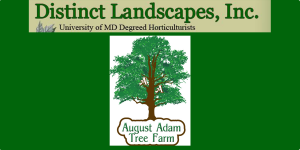 Logo for August Adam Tree Farm