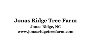 Sponsor Logo for Jonas Ridge Tree Farm