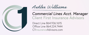 Sponsor Logo for North Georgia Insurance