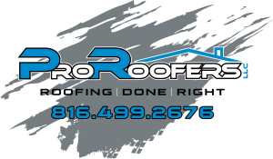 Sponsor Logo for Pro Roofers