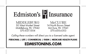 Sponsor Logo for Edminston Insurance