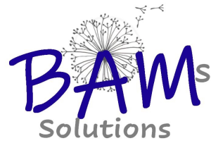 Sponsor Logo for BAM's Solutions
