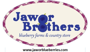 Sponsor Logo for Jawor
