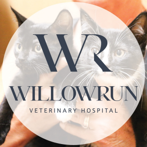 Sponsor Logo for Willowrun Veterinary Hospital