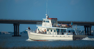 Business sponsor Logo for Crystal Dawn