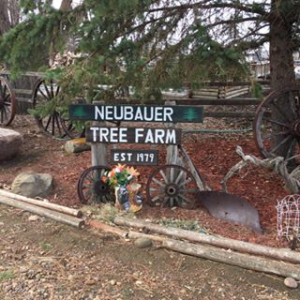 Sponsor Logo for Neubauer Tree Farm
