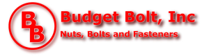 Sponsor Logo for Budget Bolt